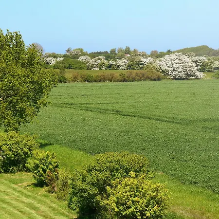 Am Gutspark Drankse Sonnenaufgang *