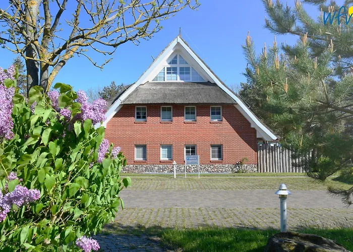 Am Gutspark Drankse Sonnenaufgang Dranske