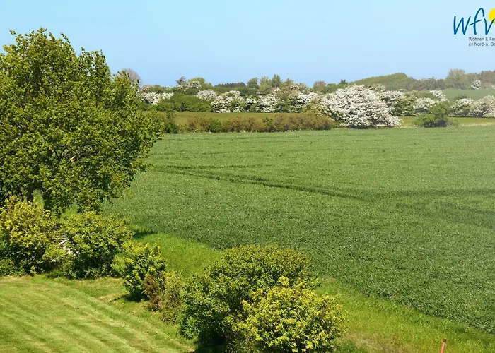 Am Gutspark Drankse Sonnenaufgang *